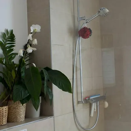 Flat In Bienne بيل