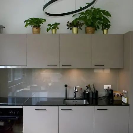 Flat In Bienne *