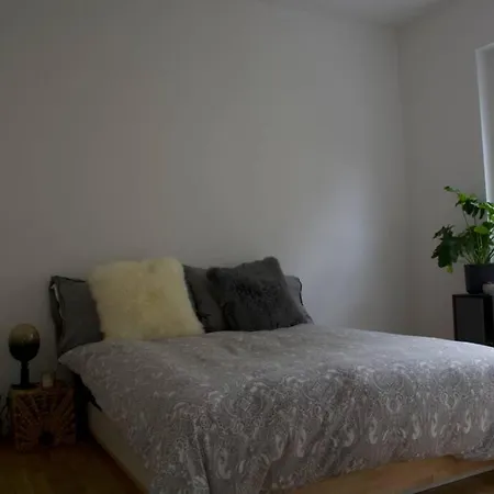 Flat In Bienne شقة
